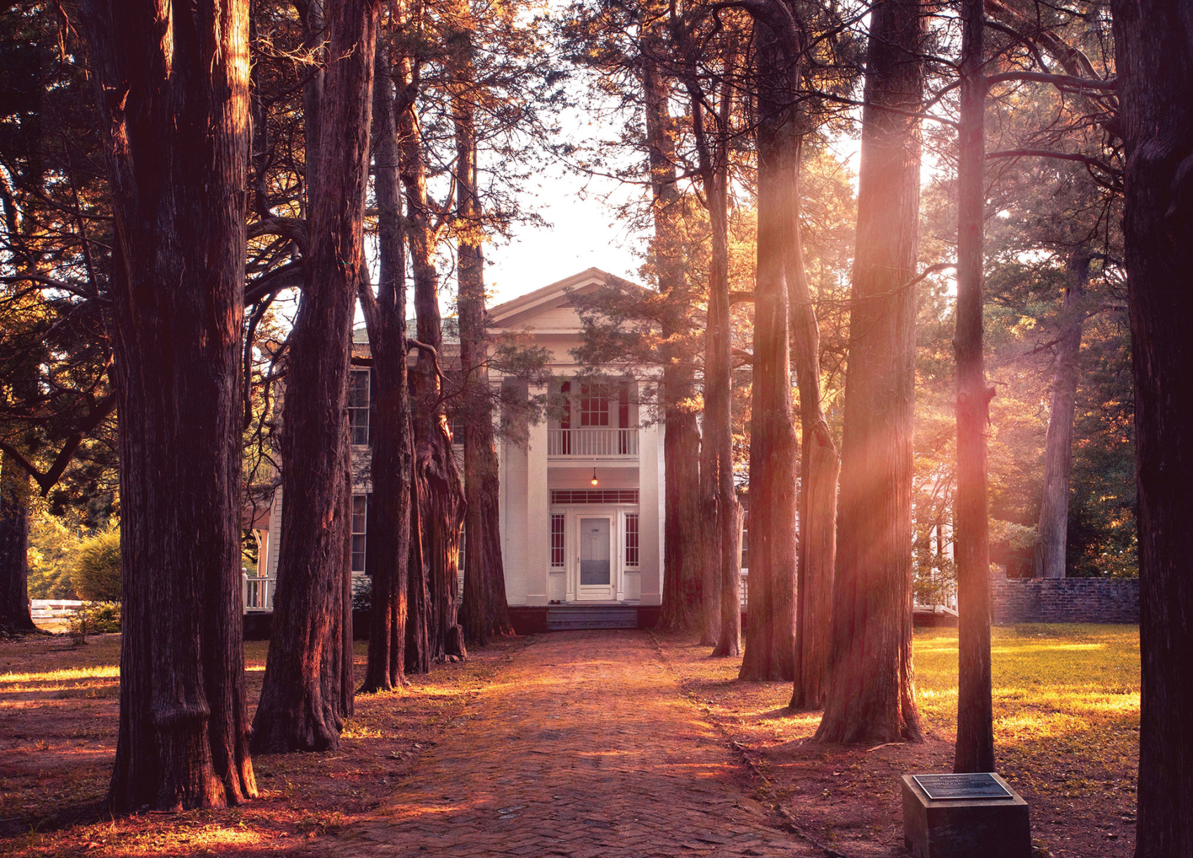 The Road Trip Issue 2020: Oxford, Mississippi